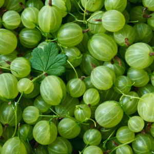 image019-2.png Gooseberries – (100 grams)