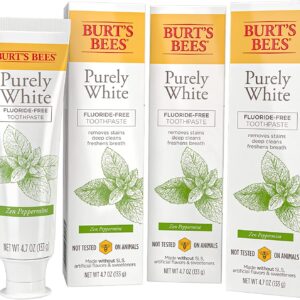Burt’s Bees Toothpaste